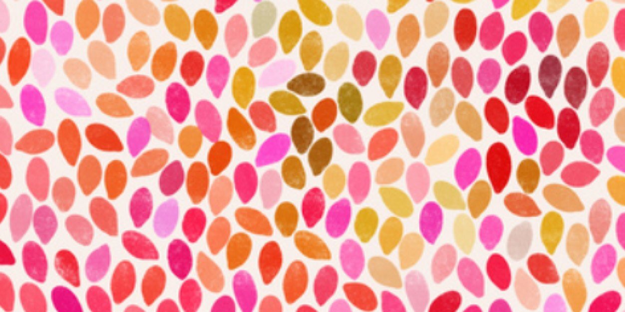 haley_vowell's profile banner image
