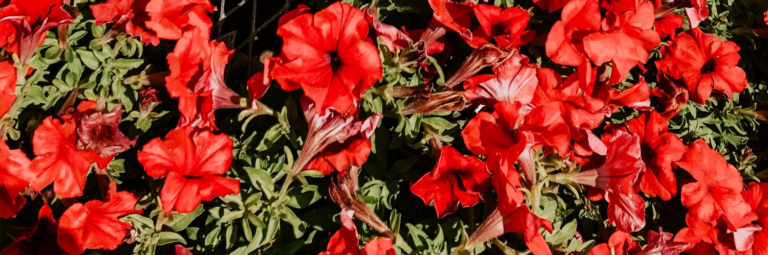 FuentesItzury's profile banner image