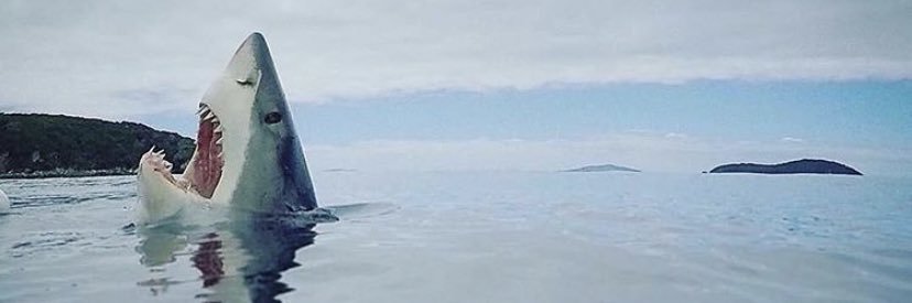 Ashhh_Holeee's profile banner image