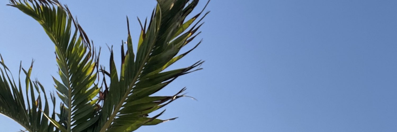 EliTaylorCT's profile banner image