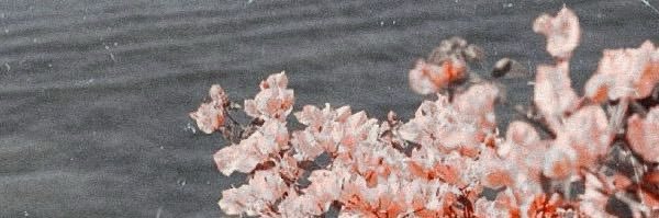 Bashaier_a's profile banner image