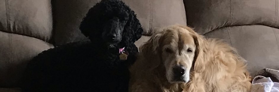grzaramba's profile banner image