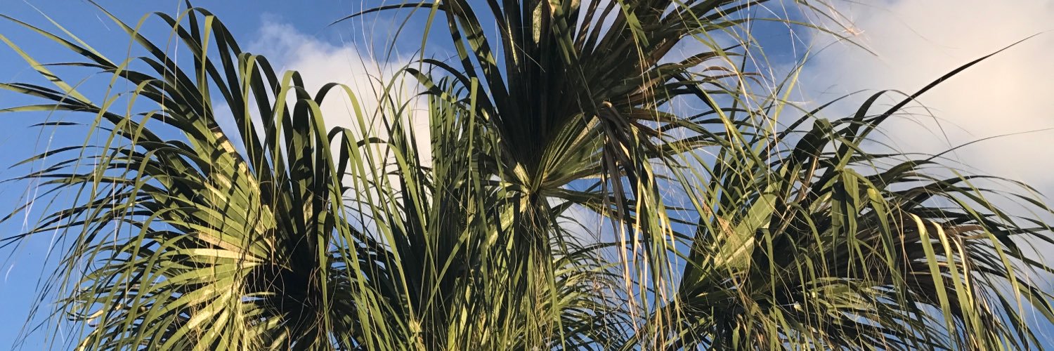 briblanchx's profile banner image
