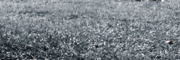sofipougy's profile banner image