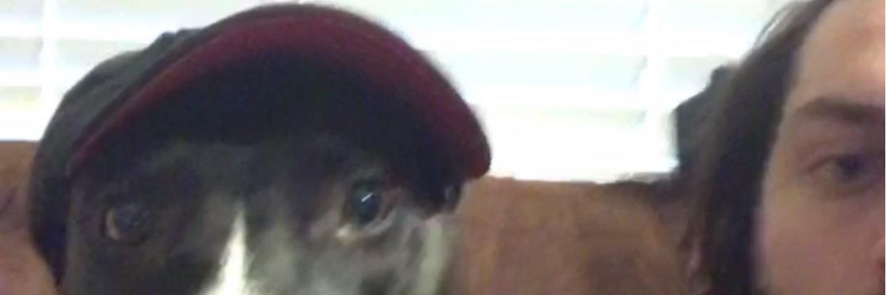 firstnamewelch's profile banner image