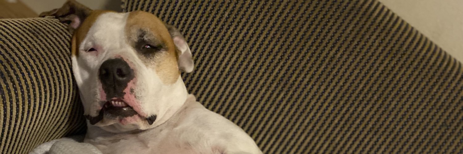 dat_be_meek's profile banner image