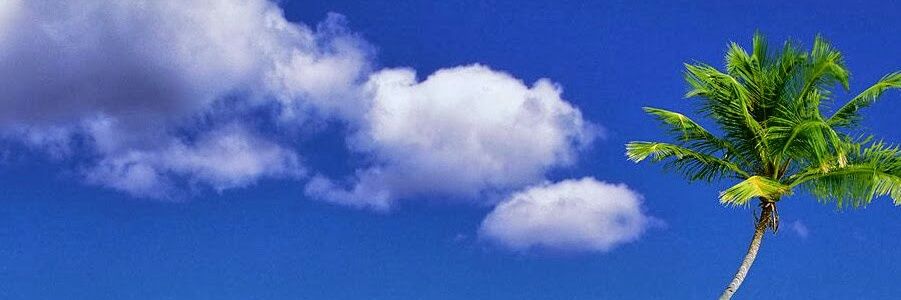 Shane_Finlay's profile banner image