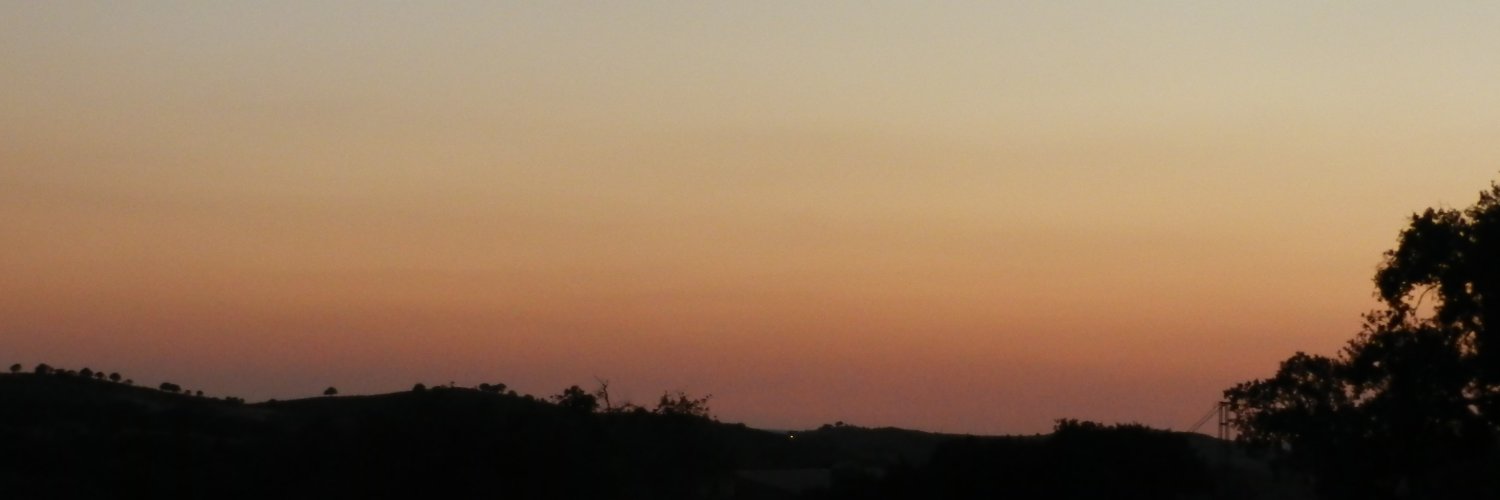 RemeCienfu's profile banner image