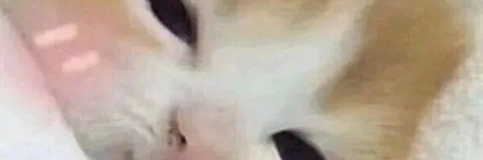 DatBoyyyyeeee's profile banner image