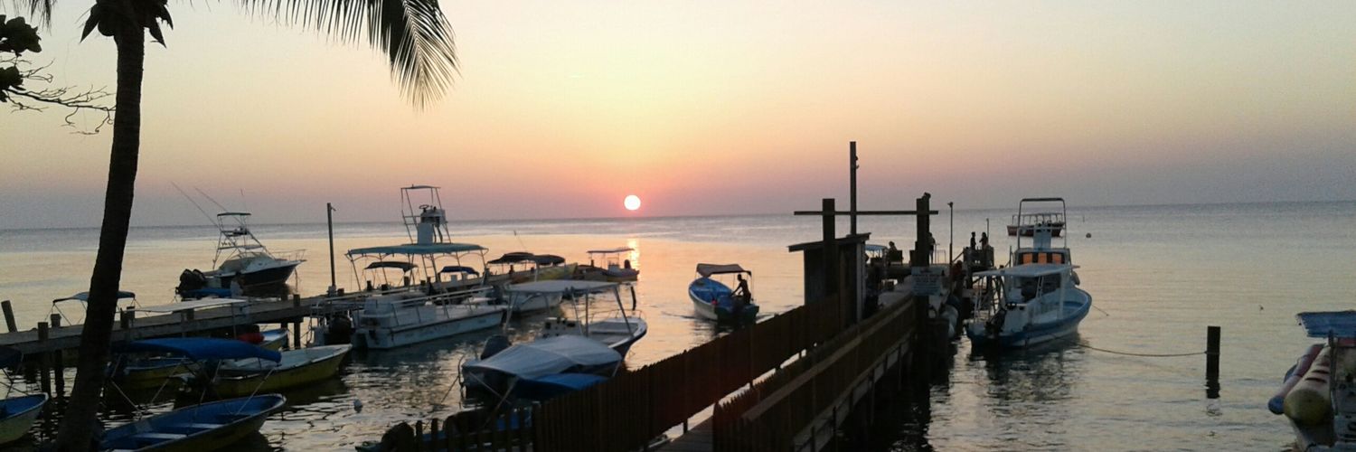 BookOnto's profile banner image