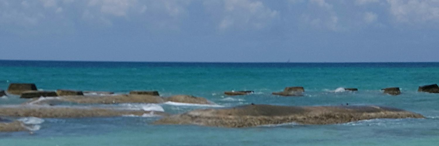 Wallace4110's profile banner image