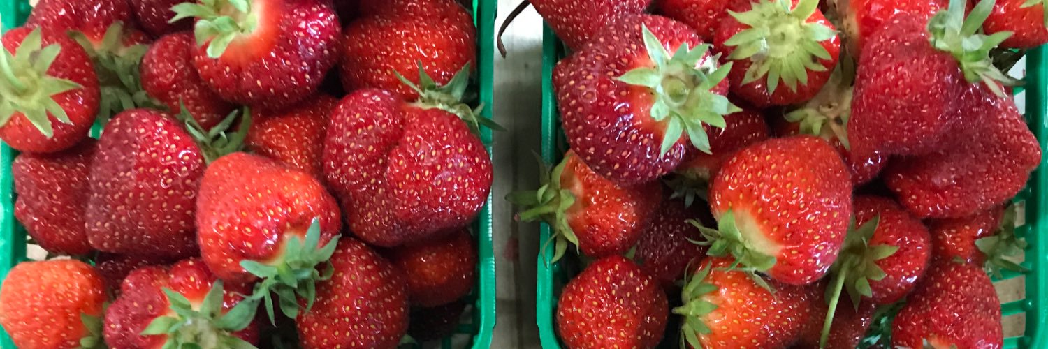 BrantwoodFarm's profile banner image