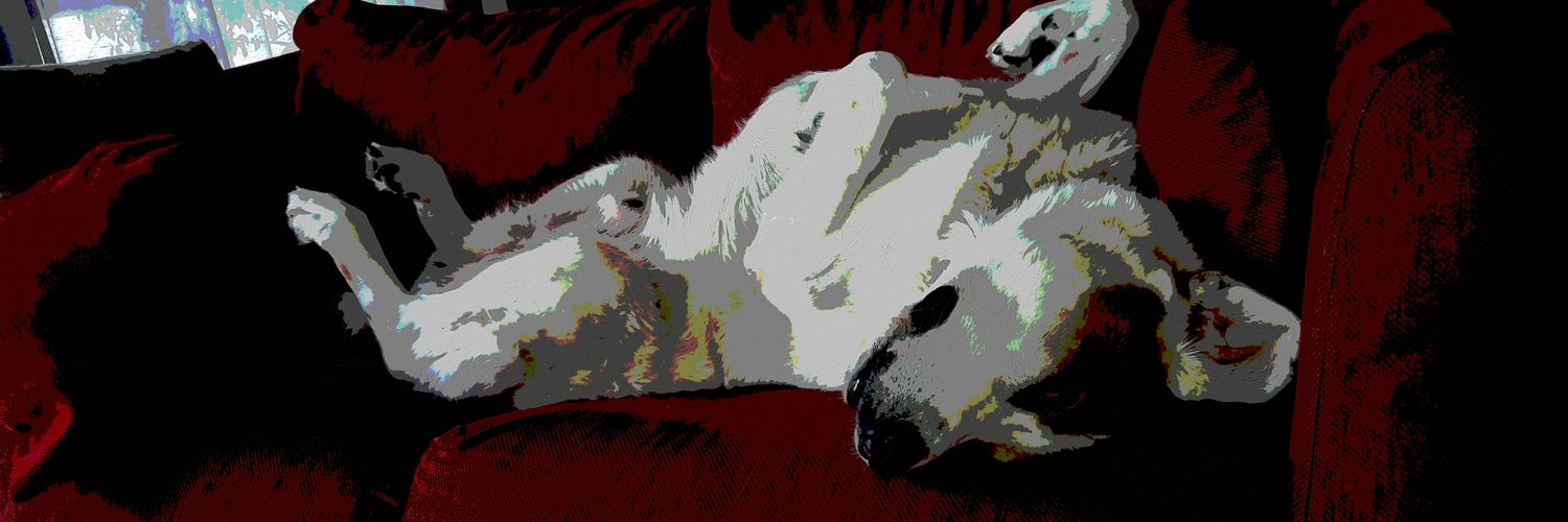kakiame's profile banner image