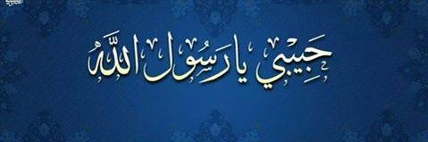 mohragab81's profile banner image