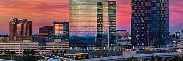 DemBizNoVA Profile Banner