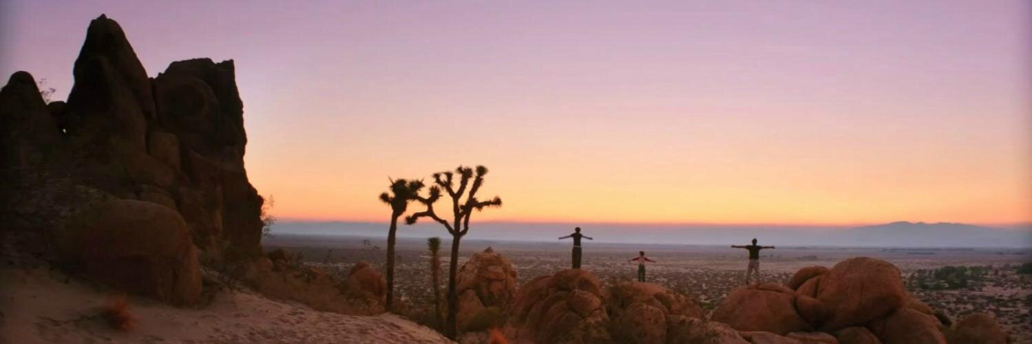 sarah favalora banner