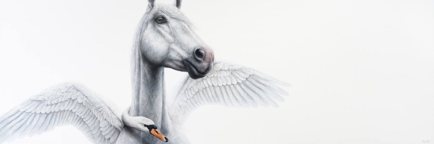 nid__a's profile banner image