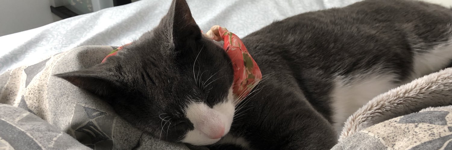 kittykatslap's profile banner image