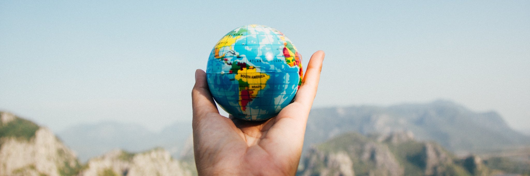 elaine fincannon banner