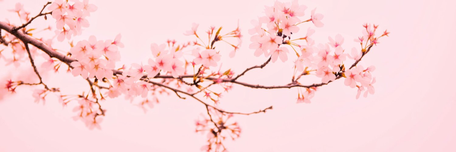 YunieDuarte's profile banner image