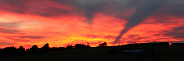 Pincalo Profile Banner