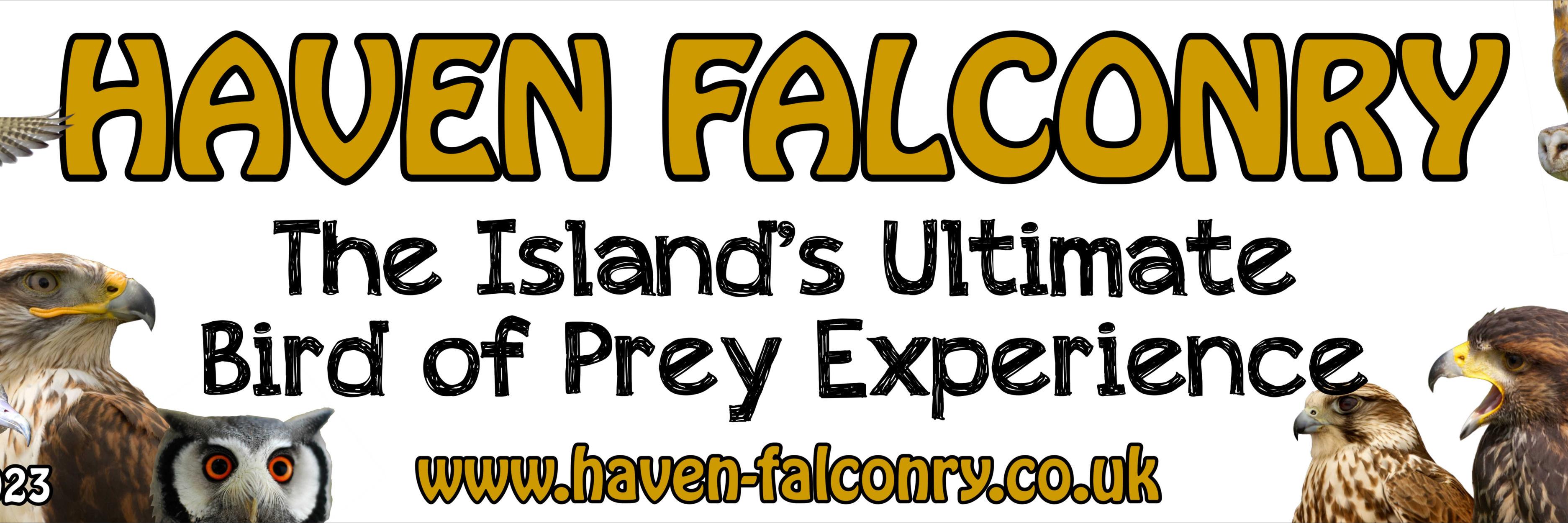 HavenFalconry's profile banner image