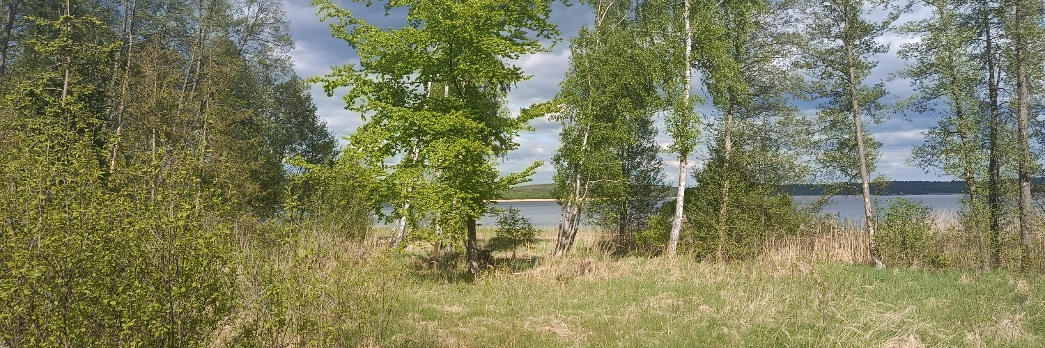MarcelGrauc's profile banner image
