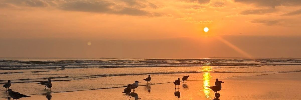 ruthnecia's profile banner image