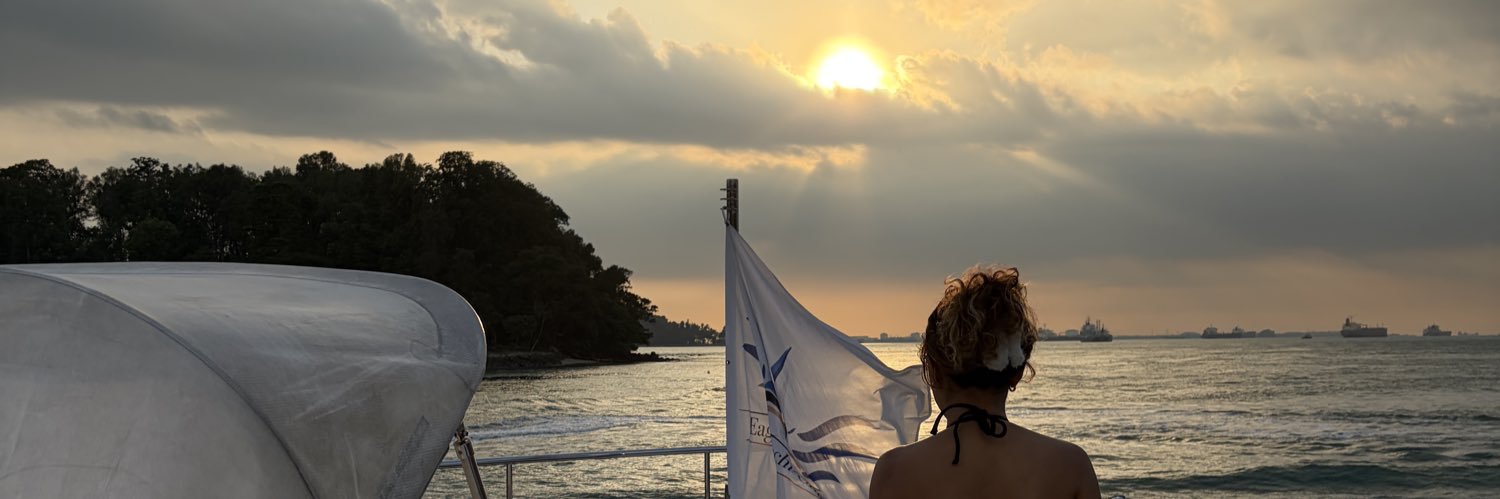 srhax's profile banner image