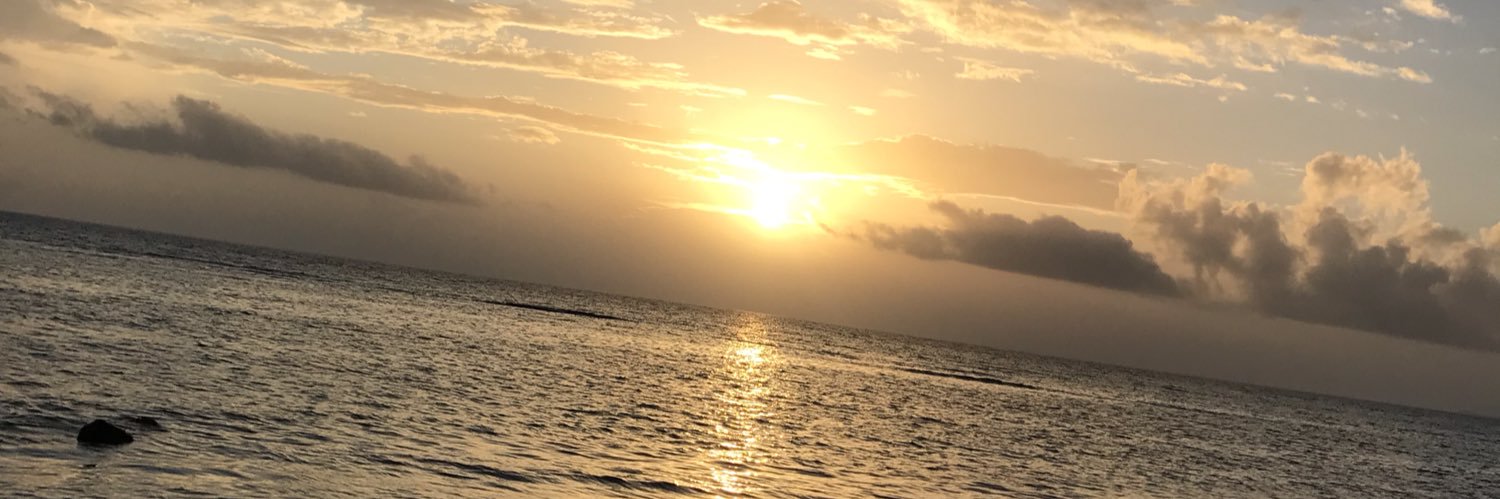 terrichilds's profile banner image