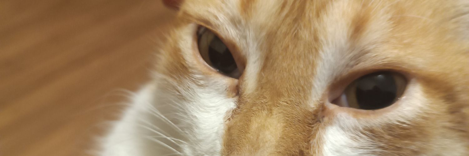 orenanrodri's profile banner image