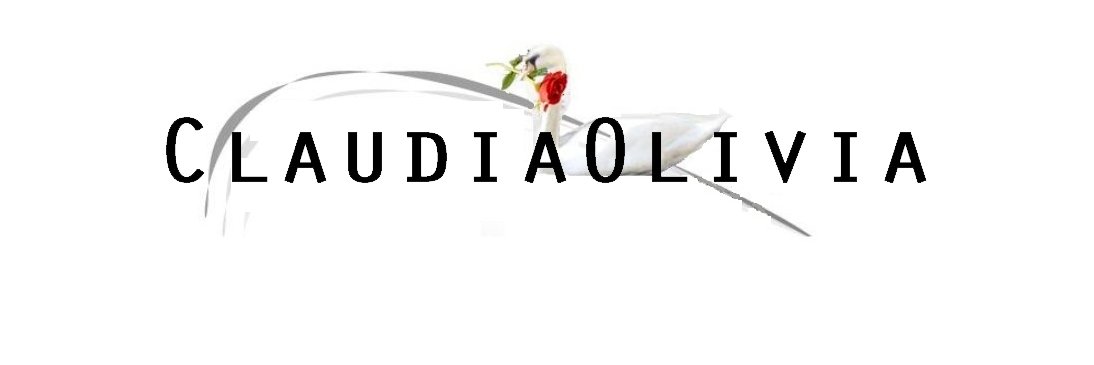 JocosusDK's profile banner image