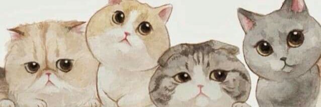 Monse Villalba Gallardo banner