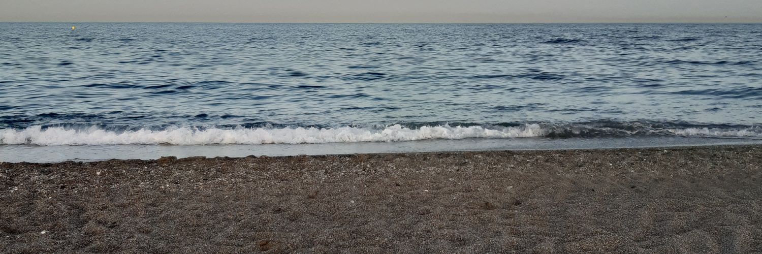 LauriZaragoza's profile banner image