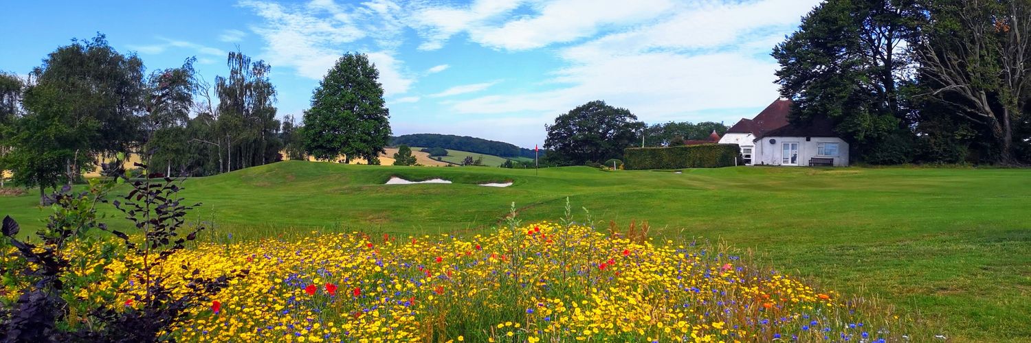 Harry Misselbrook banner