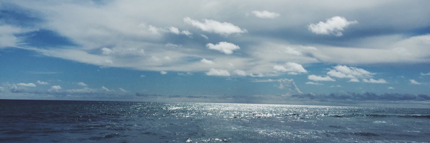 saamtrainor's profile banner image