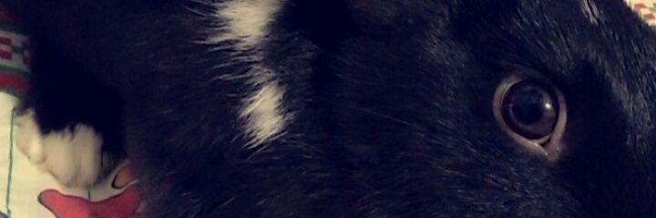 valentinalope46's profile banner image
