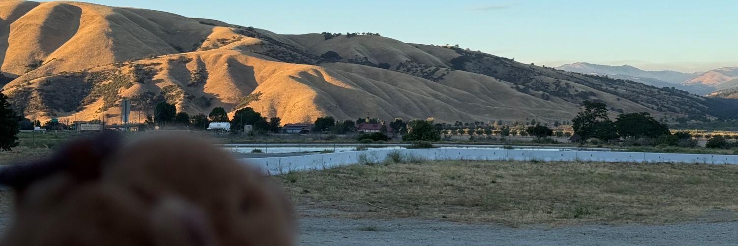 Christopher Z. Cui banner