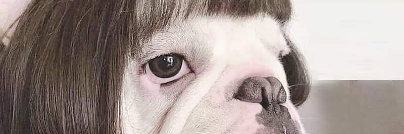 weallhateJJ's profile banner image