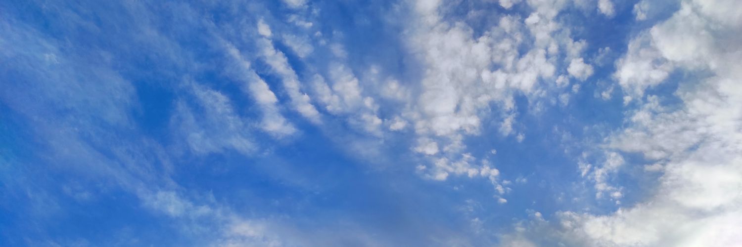 dxnnetsu's profile banner image