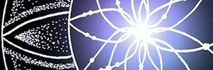 crazyfungirl112's profile banner image