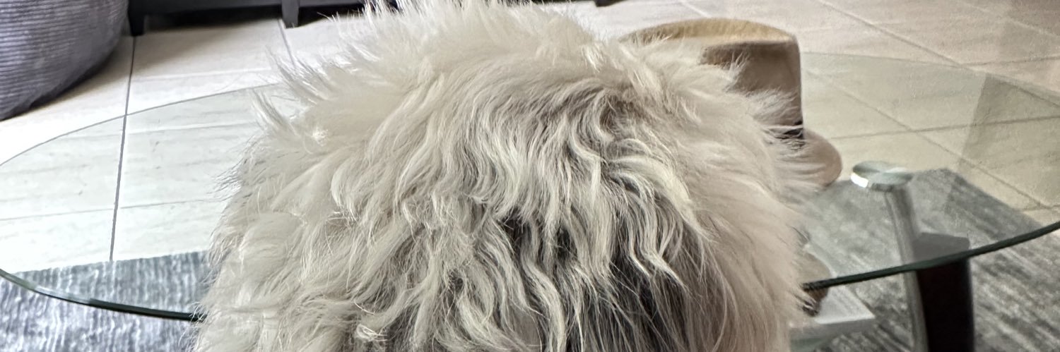 👩🏾‍⚖️ banner