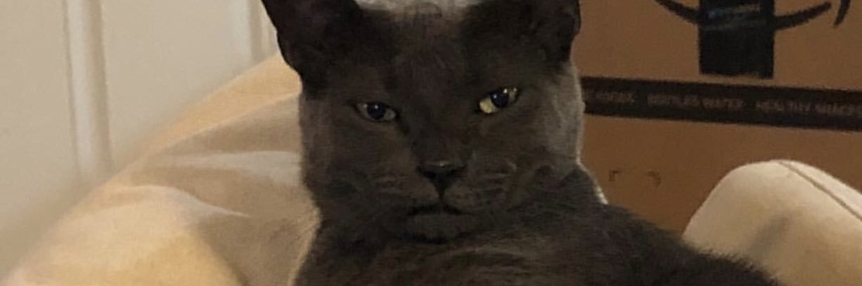 MimiMimiMeems's profile banner image
