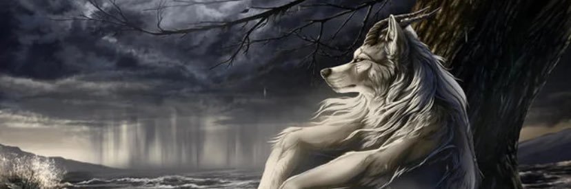 DahlgrenMade's profile banner image