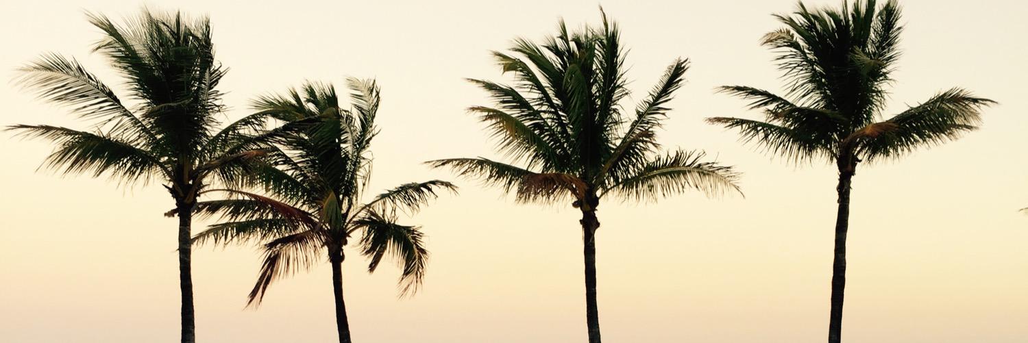 Is_uhhhhh_bella's profile banner image