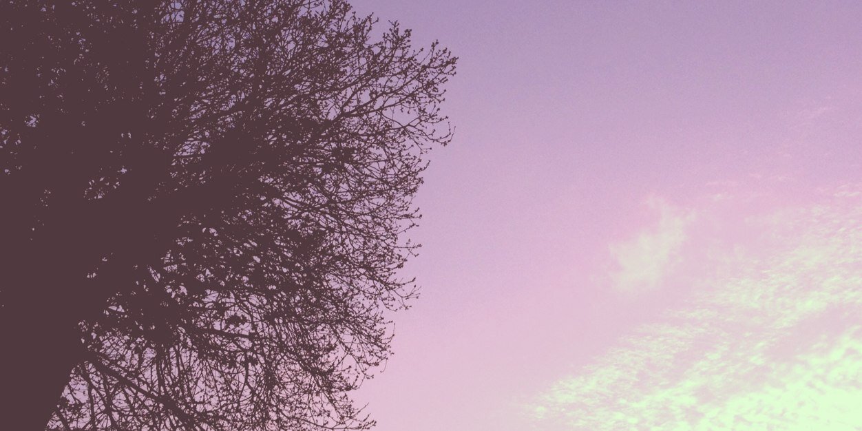 amyrebeca93's profile banner image