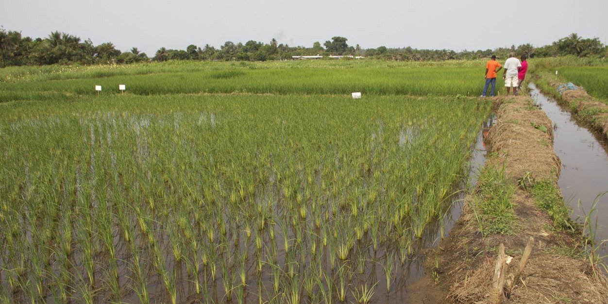 GrainCoastFarms's profile banner image