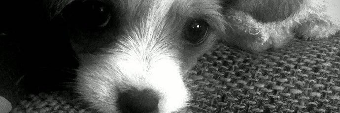 Tschembey's profile banner image