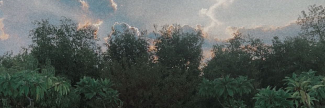 christapiaa's profile banner image