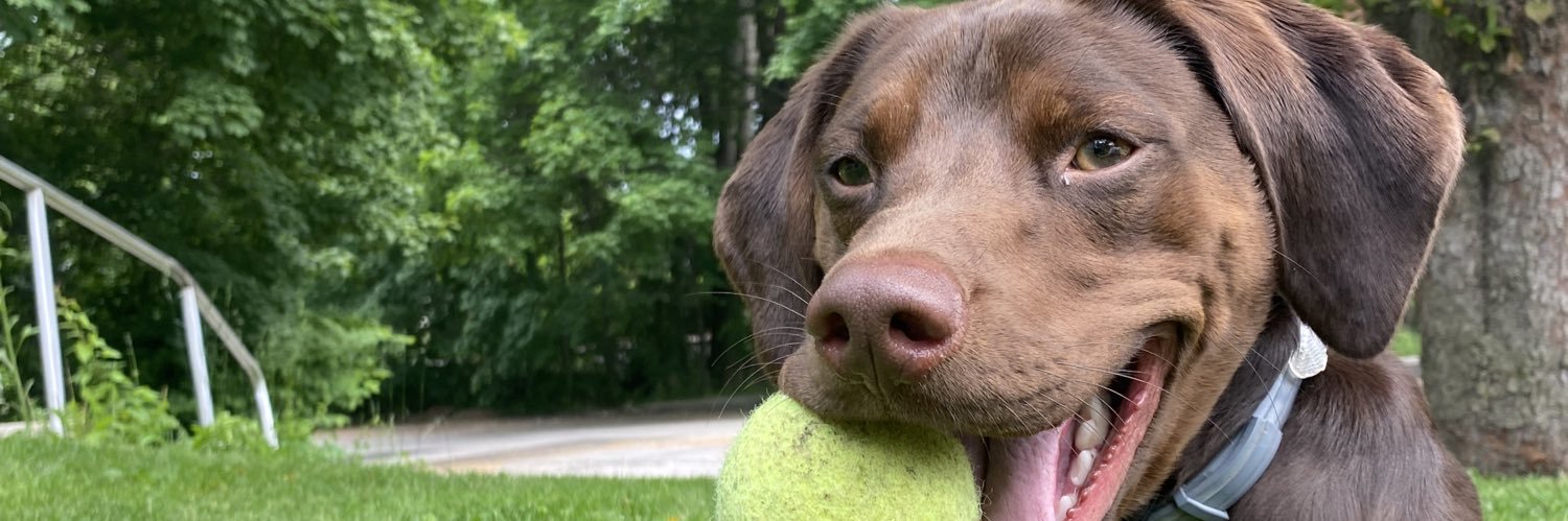 Tuck banner